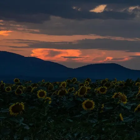 To Apartmanhazak * Bánk