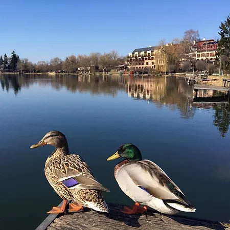 To Apartmanhazak Apartmán